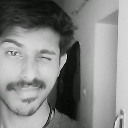 Saran N Subramaniyan