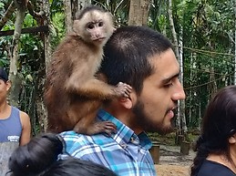 José David Lugo Forero