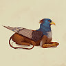 Azure Griffin