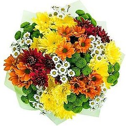 Бисерка Борисова