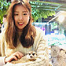 Bambi bo