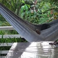 Véronique Donard Lemenven