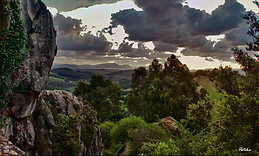 Itziar Alcorta Sevillano