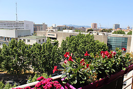 A COSY & sunny flat in Toulon (near Universities)