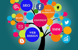 Alex Digital Marketing