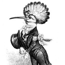 Thibault Loiselle