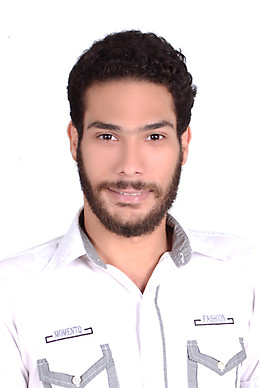 Amr Elmisy
