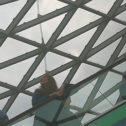 Vytė Alksninytė