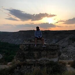 pau vijuescas