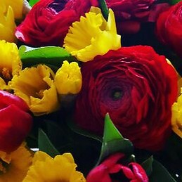 Marie helene agincourt