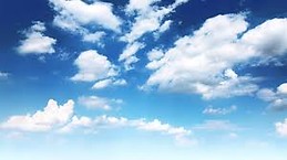 Violeta Conesa Martínez