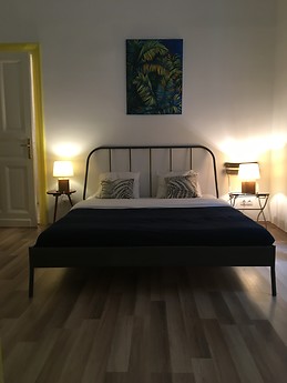 Industrial-chic renovated flat in the Palace District