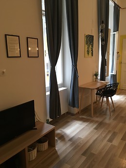 Industrial-chic renovated flat in the Palace District