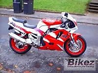 Motard Motarde Gsxr