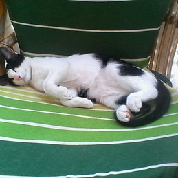 Jorge Fernández García