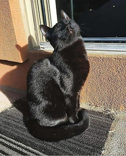 Herika benail freitas