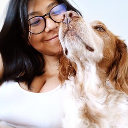 Sviete Portugal Leon