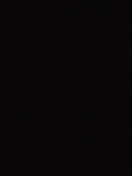 Carmen Medina Menéndez