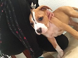 Juan Valero Guerrero