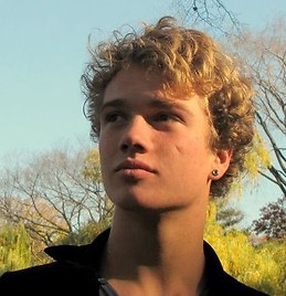 willem van der stock