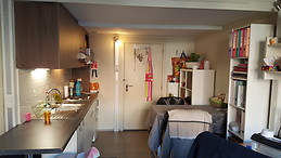 Jean-François Puissant