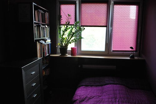 joanna wojciechowska