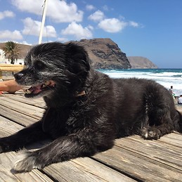 Sandra Plaza Sanchez