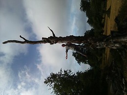 Fernando Gerente Mas