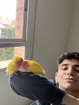 Pablo
