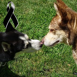 Yaiza Arnáiz Alcácer