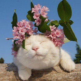 Beatriz Blanco Paniagua