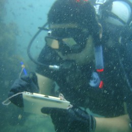 Krittin Thaitrakulpanich