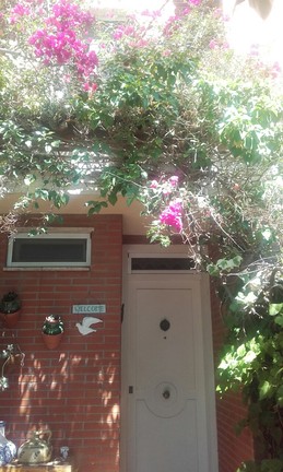 Alquilo habitacion individual, cerca universidad URV, Rovira i V