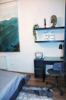 Andrassy street 65m2 + 10m2(loft) completely renovated apartment