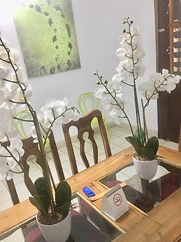 Apart completo 3 habitación, 5 ta Avenida