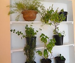 Apart completo 3 habitación, 5 ta Avenida