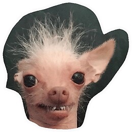 Sabela Pérez Castro