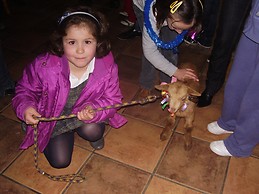 Natalia Fernandez Calzas