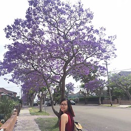 Minh Phuong Quynh Ho