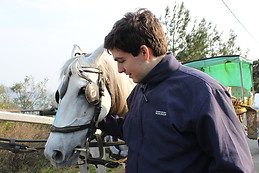 Alberto Fernández de Trocóniz Rueda