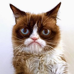 KillingTimeIn OpenWorld