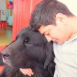 ROBERT JOSE MACIAS NARANJO