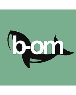 b-om sustainability institute