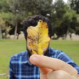 David Martinez Robles