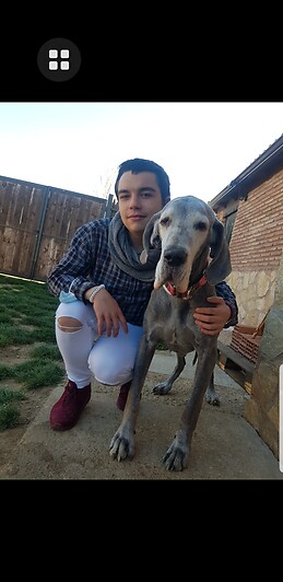 Andrea Vilches de Andrés