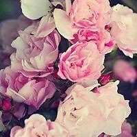 Венета Спасова