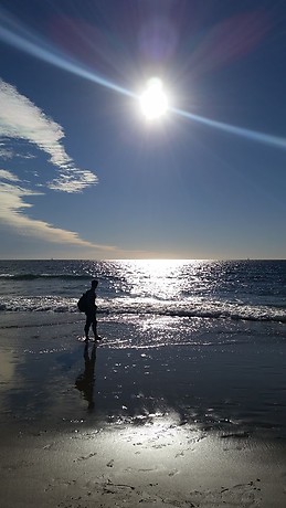 Javier Elvira Mathez