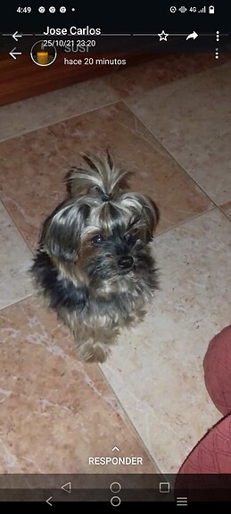 Susana Hernandez Guerrero