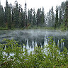DT 