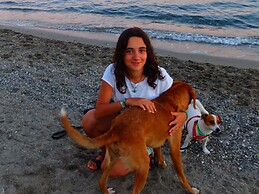 Asya Turan